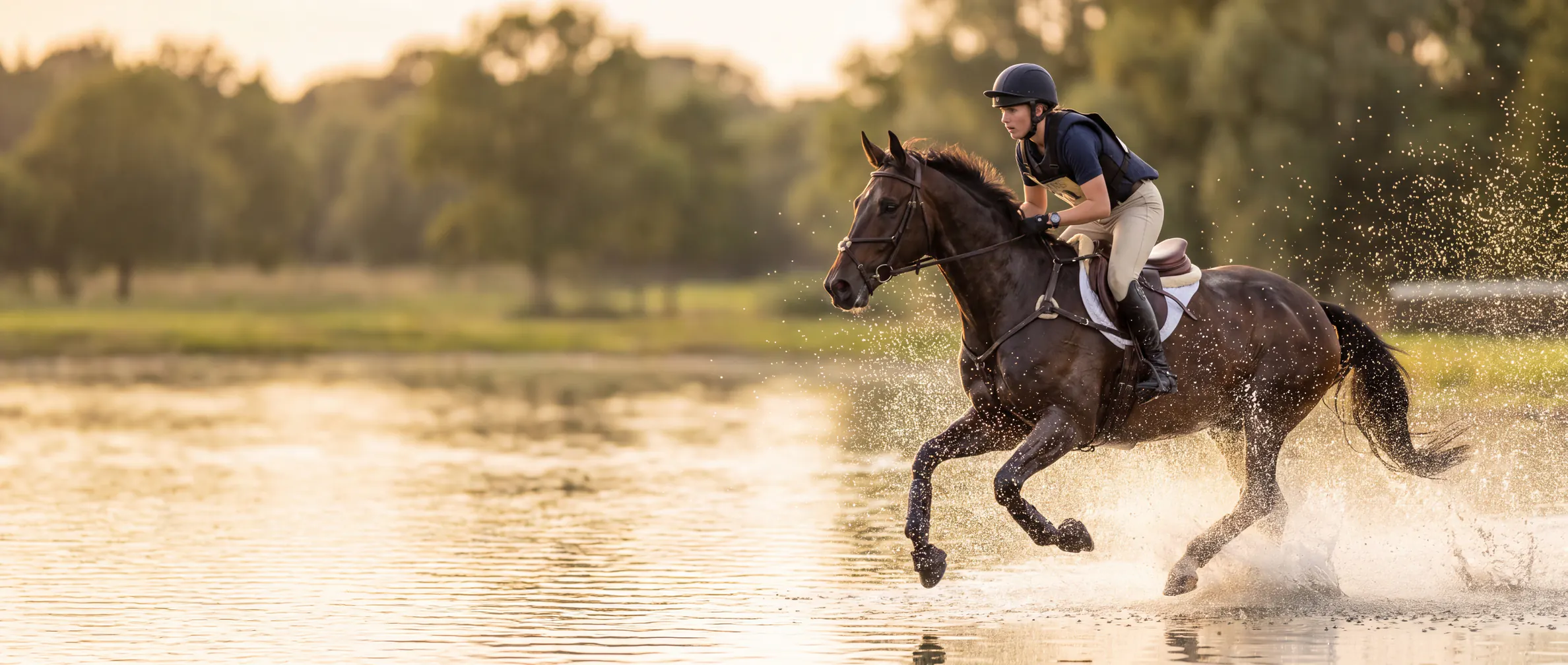 Cavaleiro e cavalo de desporto em galope pela água num percurso de cross-country